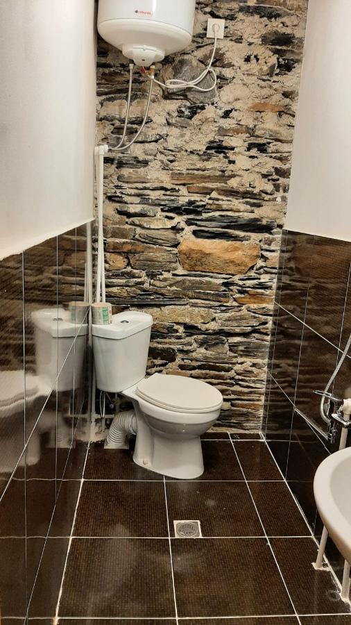Guesthouse Svanuri Sakhli Ushguli Zewnętrze zdjęcie