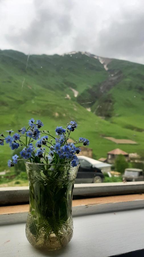 Guesthouse Svanuri Sakhli Ushguli Zewnętrze zdjęcie
